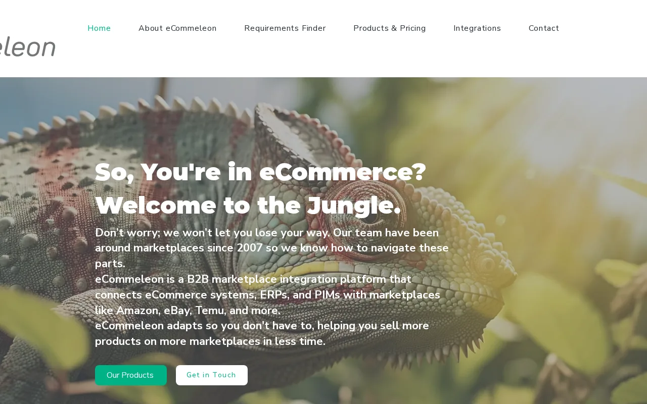 eCommeleon product screenshot